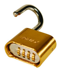 Trimax Resettable Combination Lock